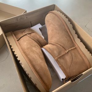 NWT classic ultra mini Uggs! Size 7. Color Chestnut